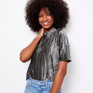 Spring Velvet 🛍️NWT LOFT Velvet Mock Neck Short Sleeve Ribbed Pleated Top